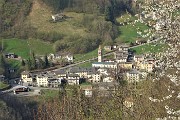 Spettacolo di crocus ai prati della Pigolotta di Valtorta il 22 aprile 2019  - FOTOGALLERY